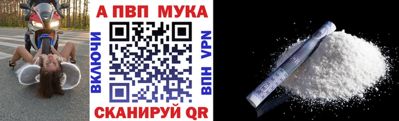 Альфа ПВП СК ссылка на мегу рабочий сайт Партизанск