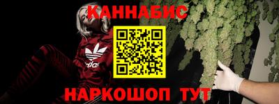 дмт Новодвинск