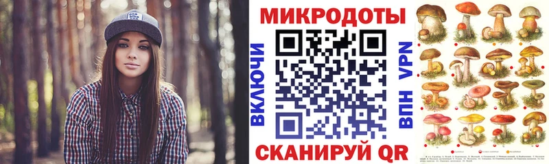 omg как войти Партизанск Псилоцибиновые грибы Cubensis