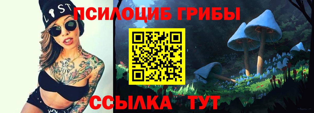 Галлюциногенные грибы прущие грибы Партизанск